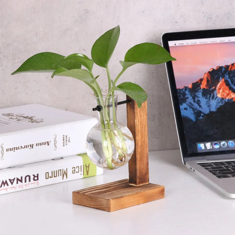 Vase de bureau hydroponique Vintage pour plantes