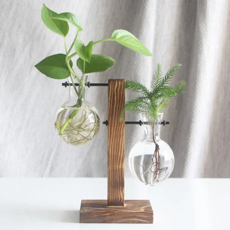 Vase de bureau hydroponique Vintage pour plantes